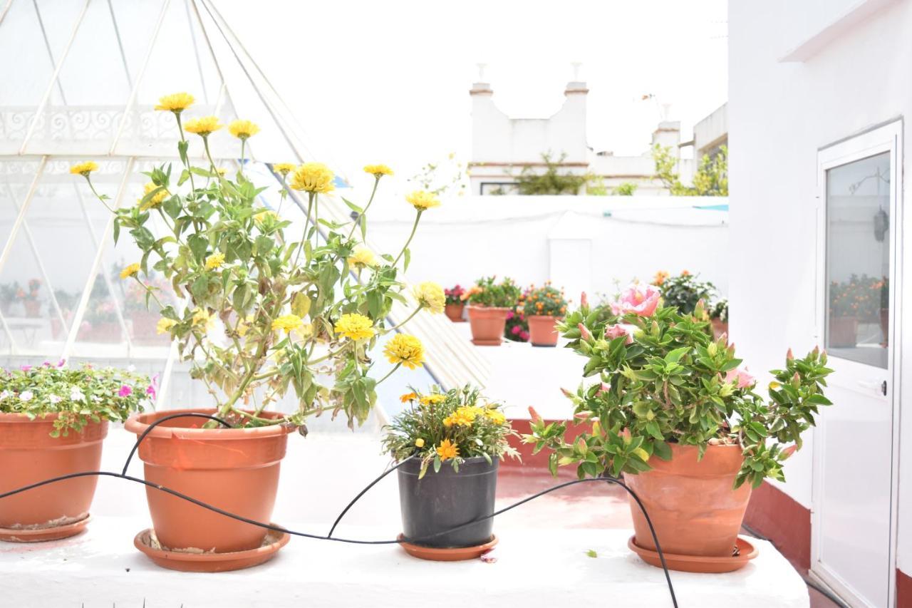 Apartamentos Veedor カディス エクステリア 写真
